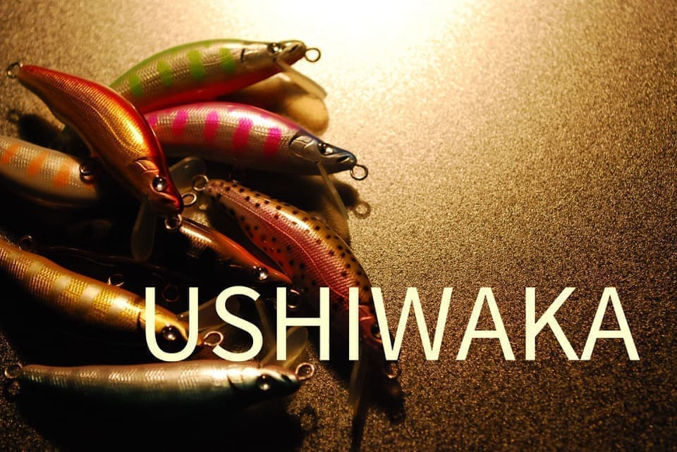 ライトに照らされた影が美しいウシワカ