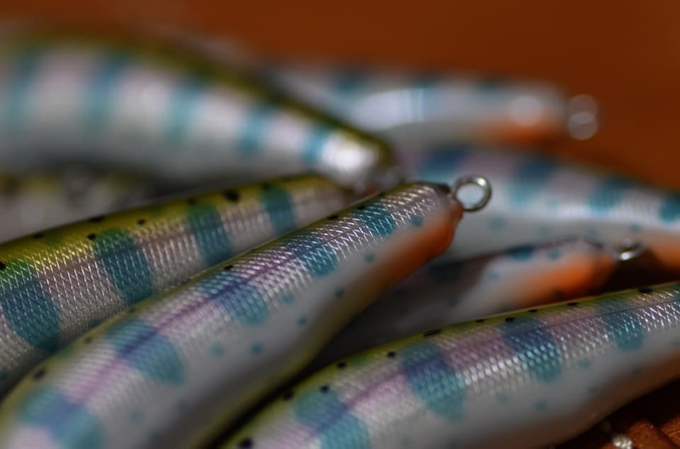 薄青いパーマークを塗ったアマゴカラーのウシワカ６５