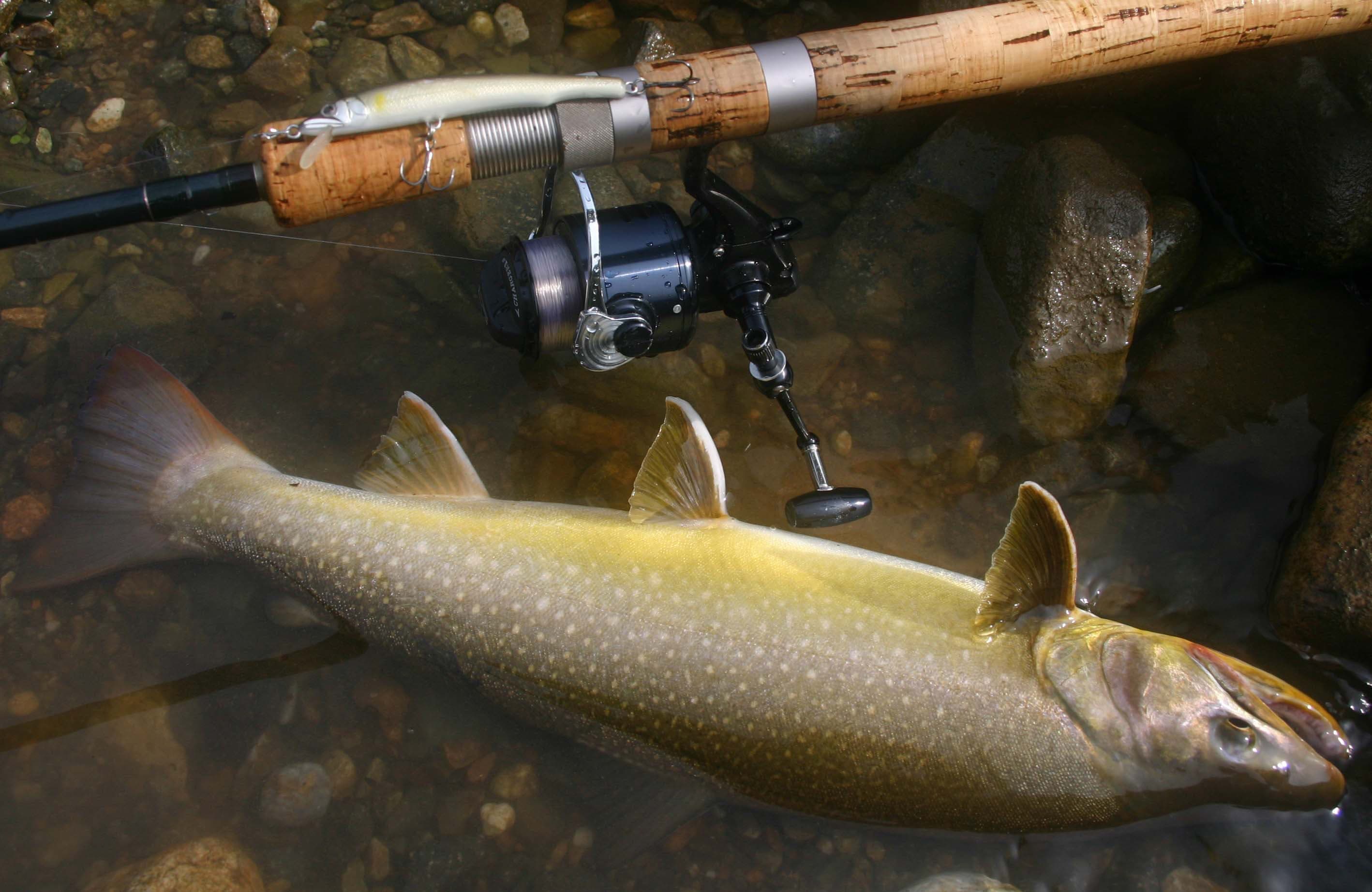 大イワナとハントと釣り道具