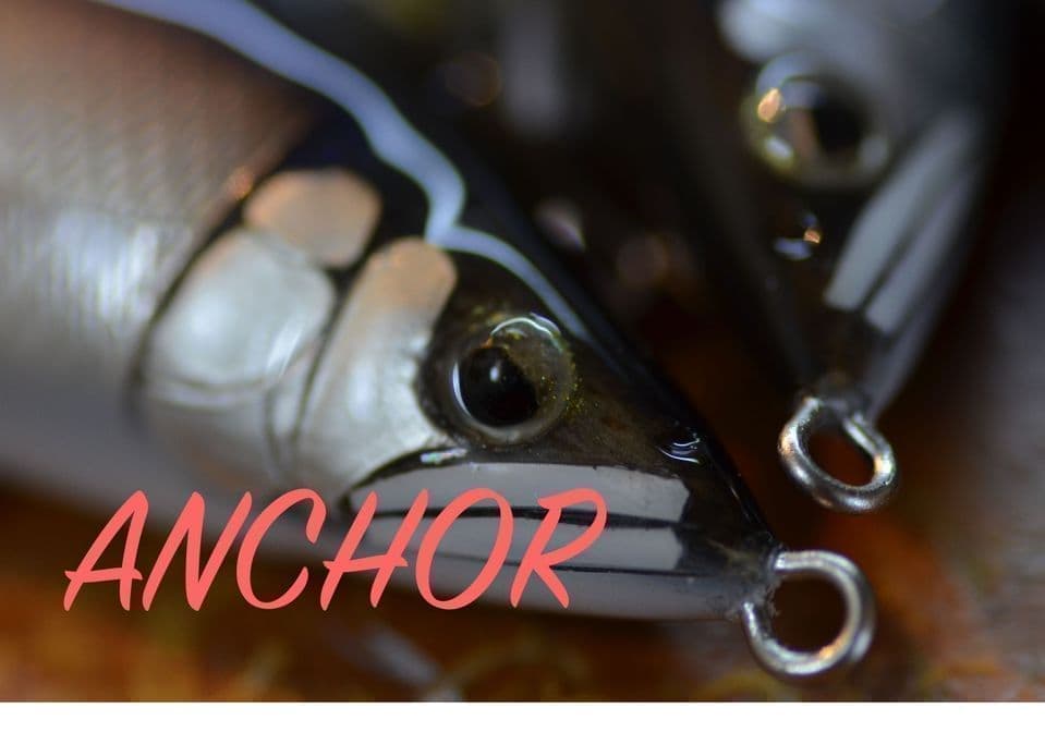 眠たそうな顔つきのアユカラー