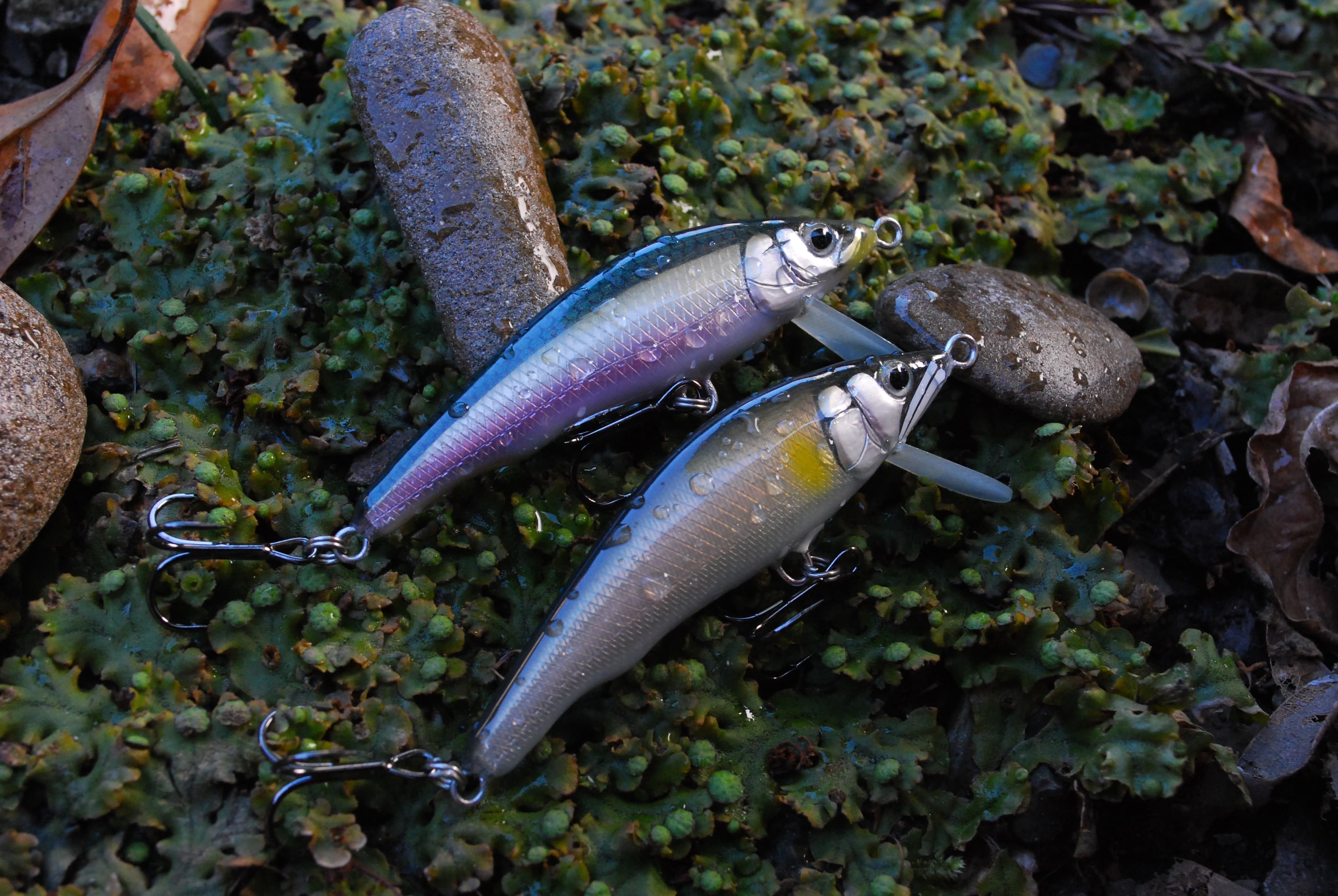 水滴がキレイなアンカー