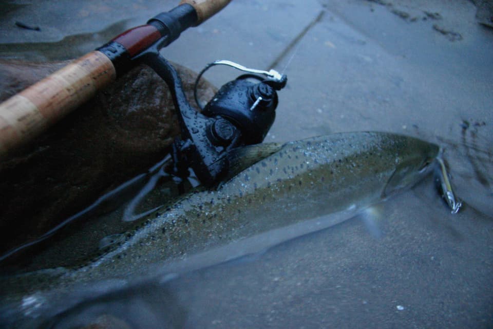 サツキマスとロッドとアンカー
