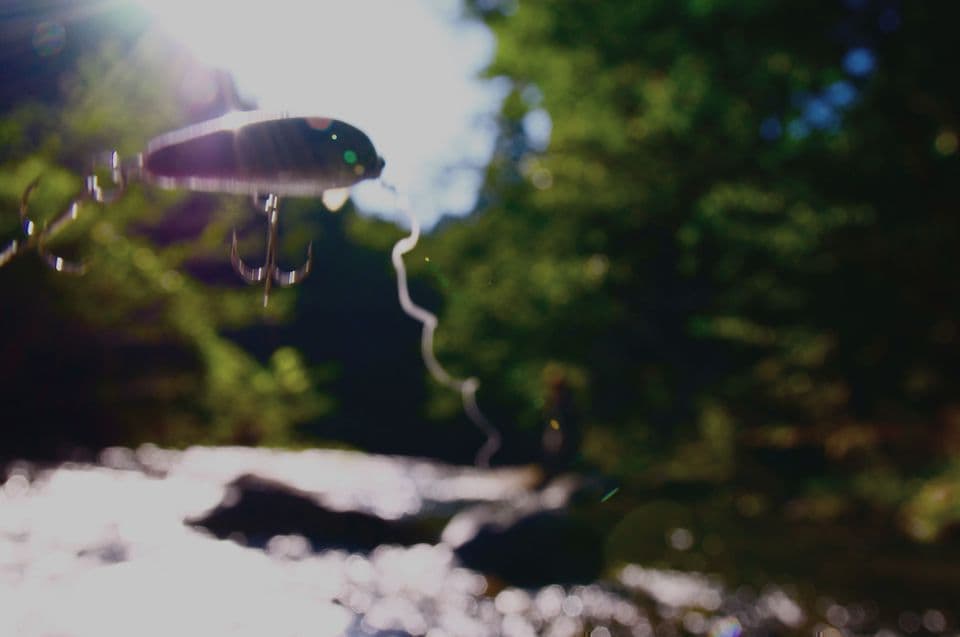 光に照らされたキャスト後のルアー