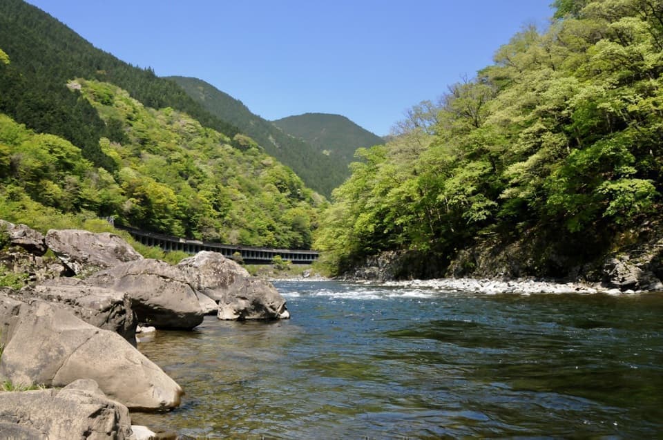 新録の青と晴天の蒼