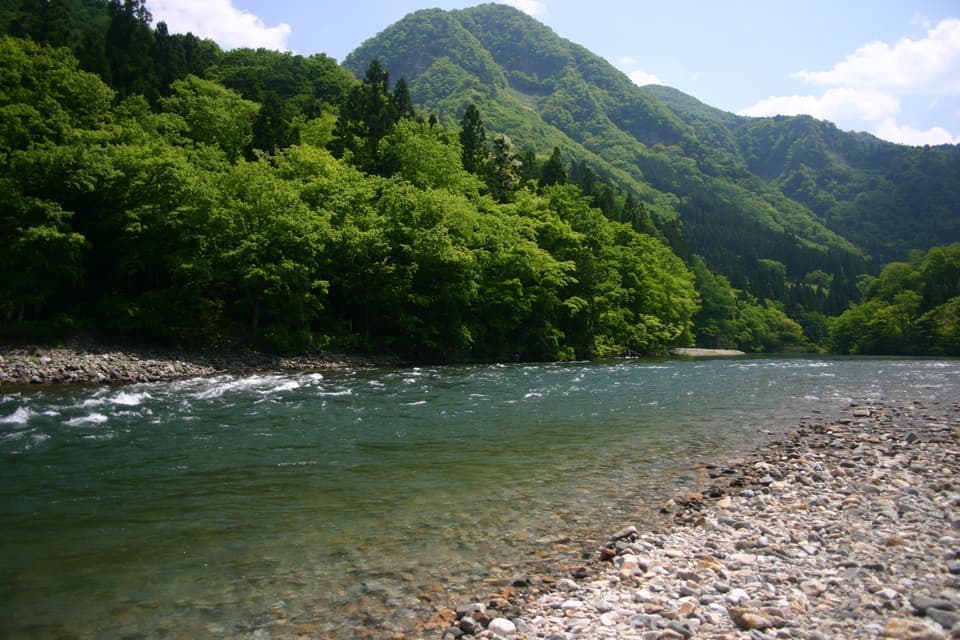 流れの早い新緑の本流