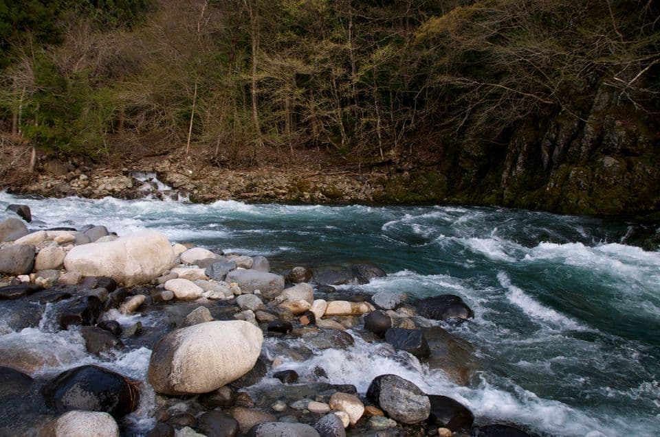 雨上がりの激流と静かな山