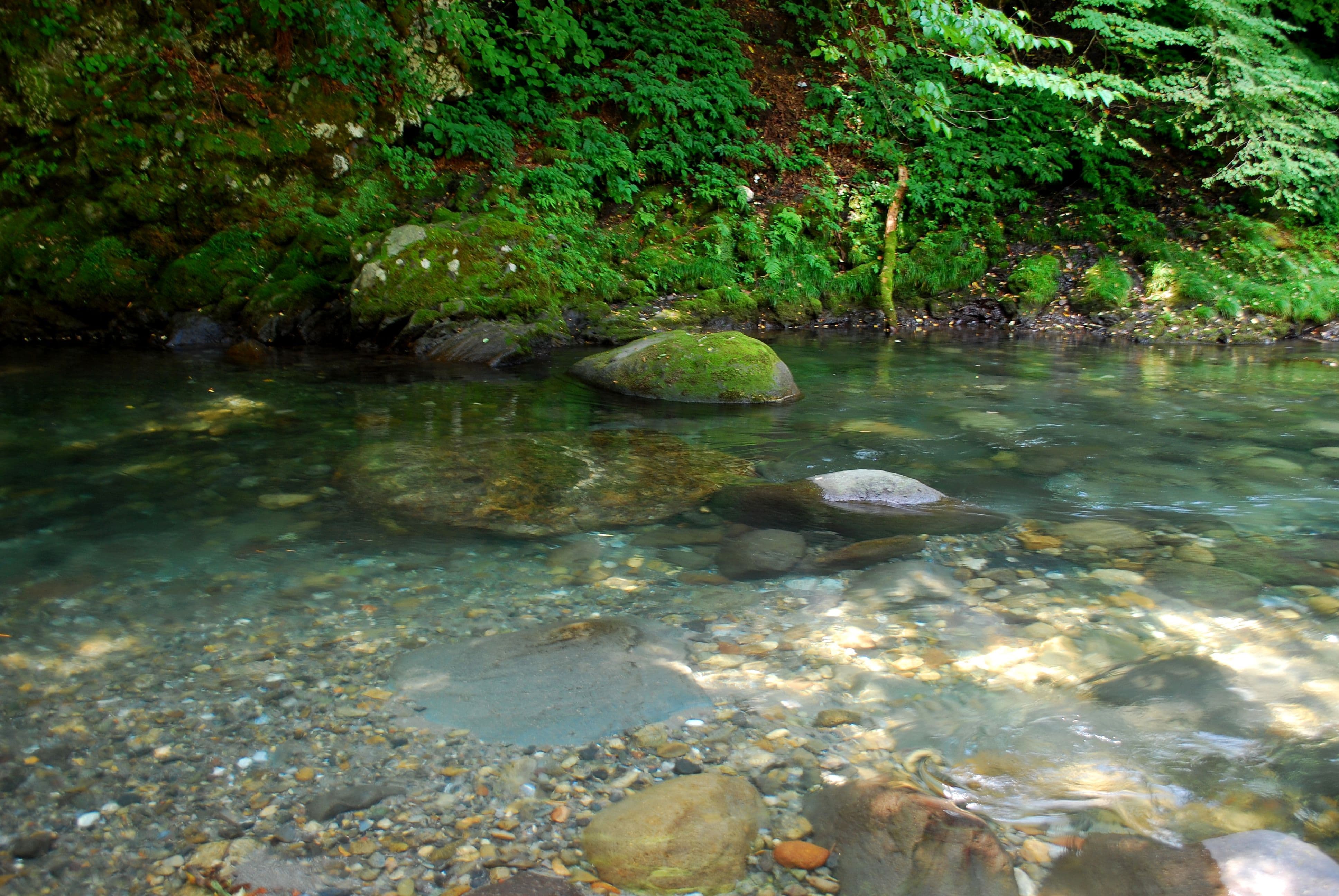 底まで見えるほどクリアーな渓流