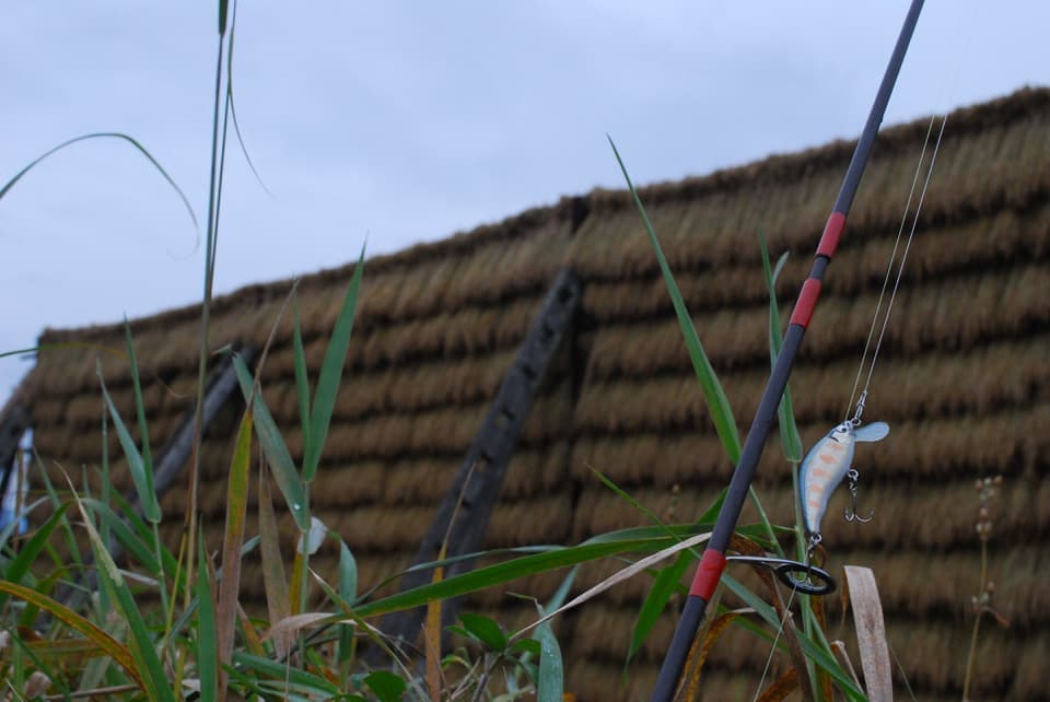 灰色の空とハザ掛けとベンケイ