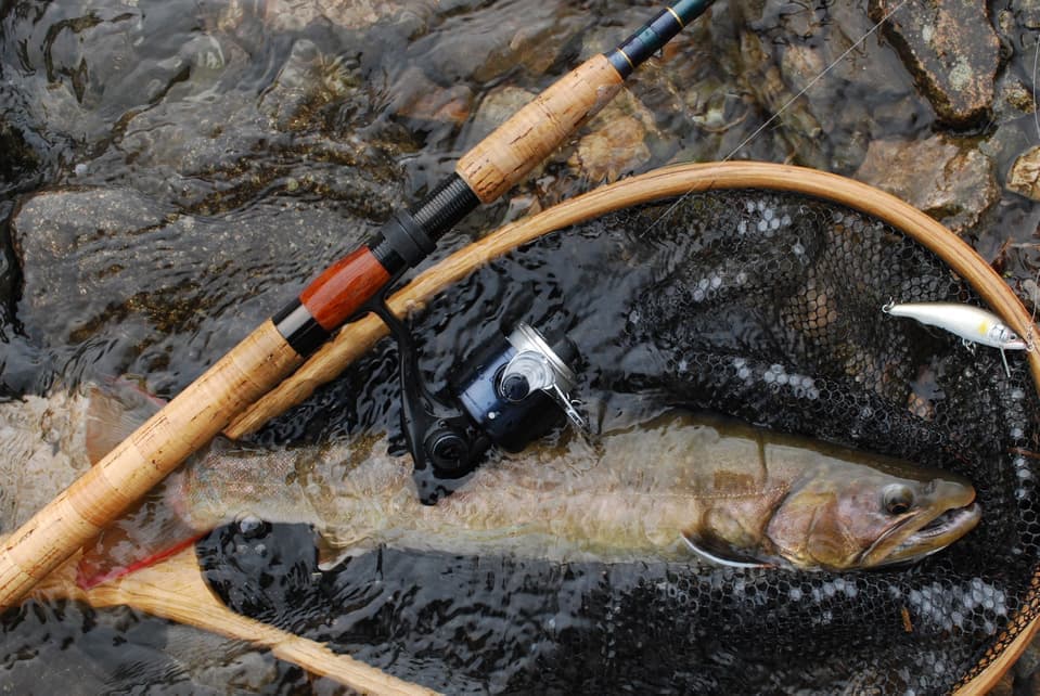 大イワナとランディングネット