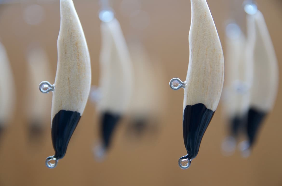 青と赤のコントラストが美しい２匹のアマゴ