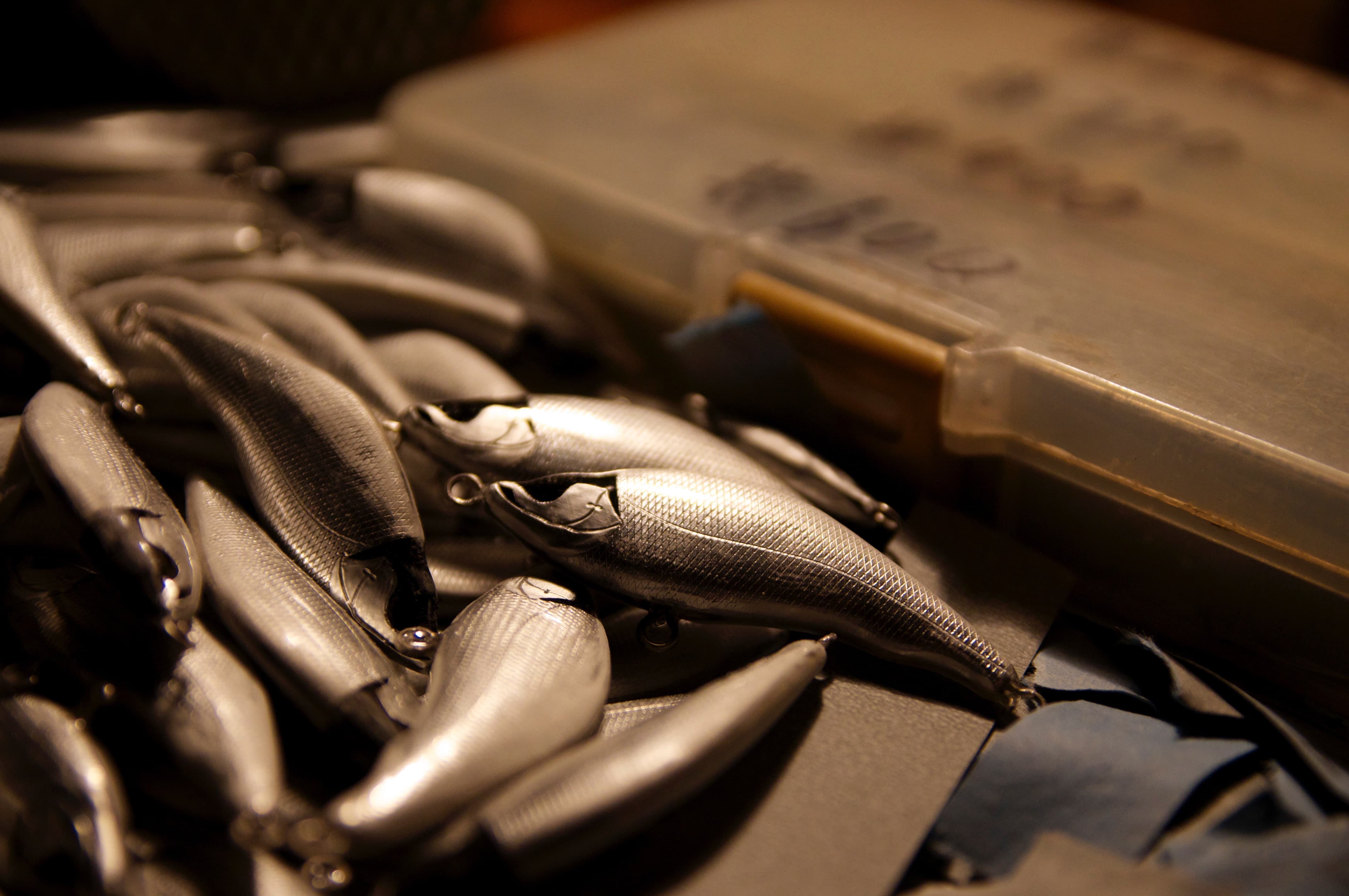 青と赤のコントラストが美しい２匹のアマゴ