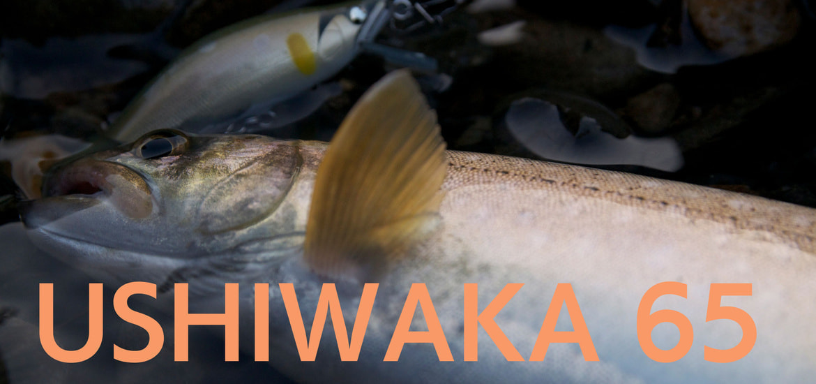 本流ミノーのウシワカ６５