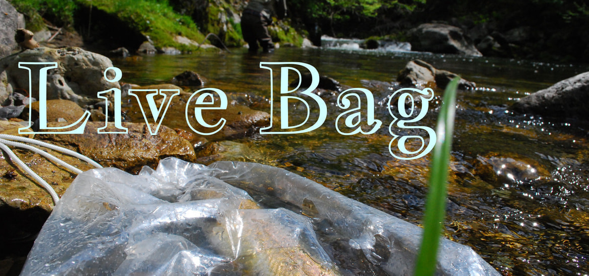 ストリンガーの代わりライブバッグ