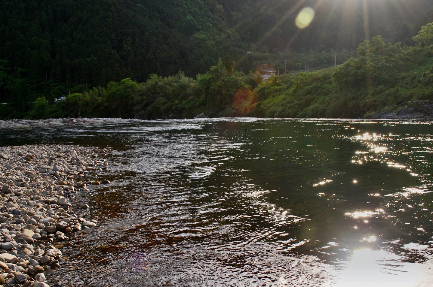 新緑の光が差し込む渓流