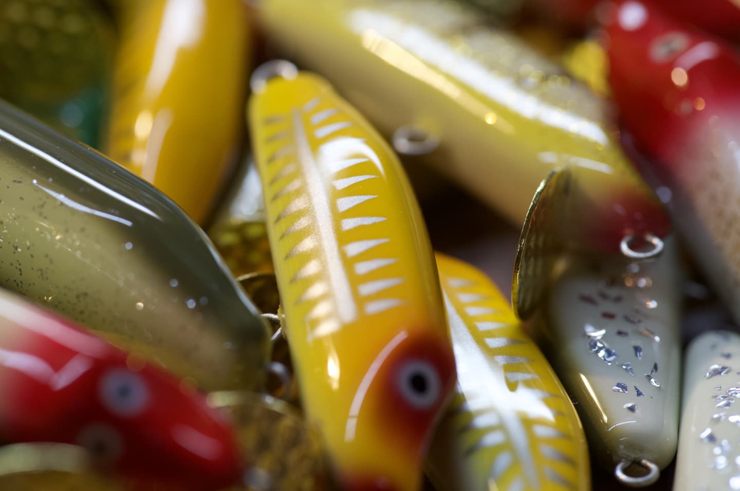 黒い目玉が印象的なサビの入った谷あまご